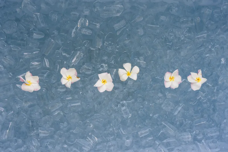 Ice bath experience at Koh Tao Yoga