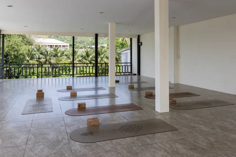 Ice bath experience at Koh Tao Yoga