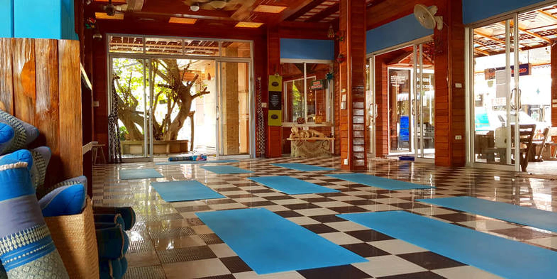 KOH TAO YOGA vs Ocean Sound Dive + Yoga: Which Studio Fits Your Goals Best